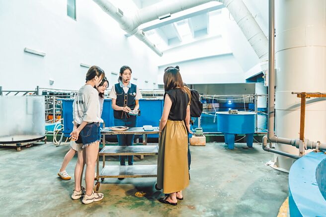 新年之際，屏東海生館正迎接許多海洋新生命的到來，為此，館方推出限定版「魚你同行」後場體驗活動，帶領遊客感受生命的悸動。（謝佳潾攝）