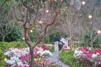 春遊萬里 賞花、泡湯＋祈福