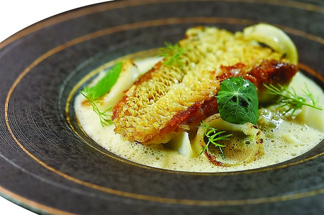 〈季节鲜鱼〉是〈马头鱼立鳞〉搭配炭烤小卷和牡蛎，提味的Foam是用味噌和海鲜高汤制作。图／姚舜