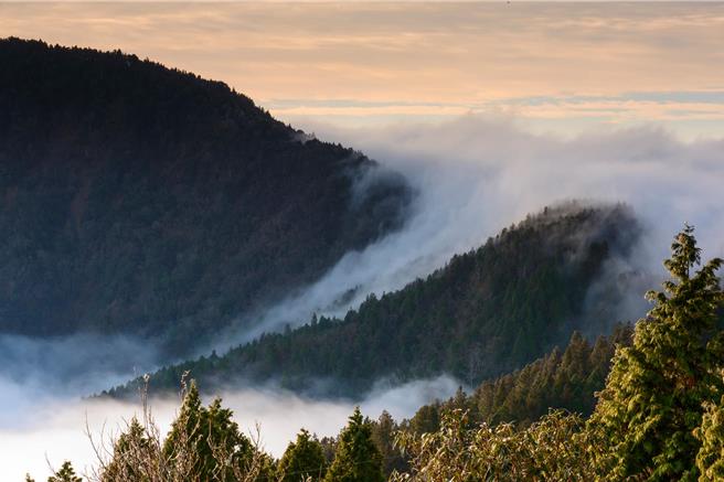 宜兰的太平山国家森林游乐区是北台湾知名的旅游景点，林业及自然保育署宜兰分署特别整理2024年春节旅游攻略。（林业及自然保育署宜兰分署提供／吴佩蓉宜兰传真）