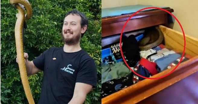 澳洲一名3歲男童開衣櫃拿衣服，驚見裡面有一條毒蛇。（圖／翻攝自臉書）