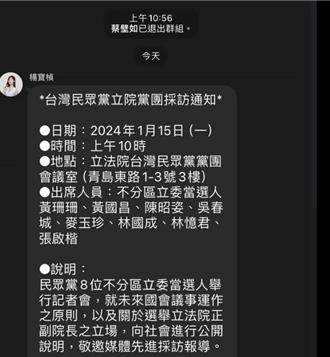 蔡壁如閃退民眾黨群組 下一步動向成謎