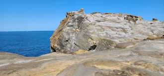 象鼻岩變身「水豚君」慵懶照曝 網驚呼：新景點誕生