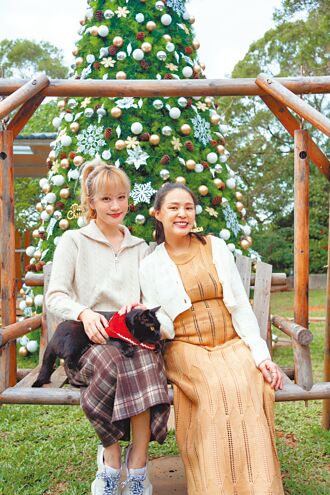 楊婷婭關懷浪浪熊熊挺孕肚獻愛心