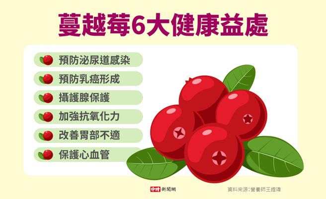 蔓越莓6大健康益处(制图/中时新闻网)