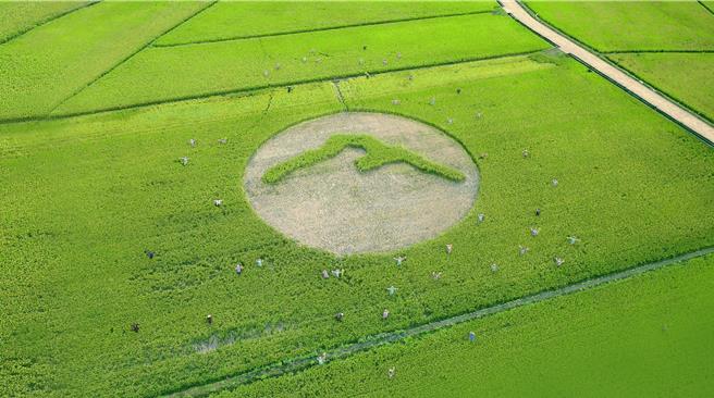 玉山金控接軌國際，成為全球首批加入TNFD先行者企業。（玉山提供）