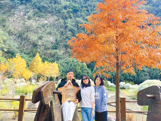 台中市觀旅局15日表示，新社現正綻放冬季限定花卉，許多景點等待遊客細細品味，拍照打卡還能參加抽獎。（台中市觀旅局提供／陳淑娥台中傳真）