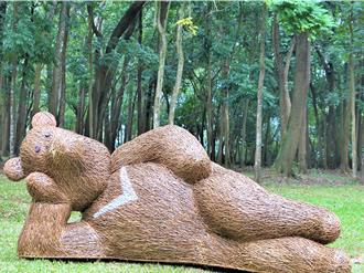 独》「不要吵我好吗？」新威森林公园3米长睡姿黑熊 吸引赏樱游客