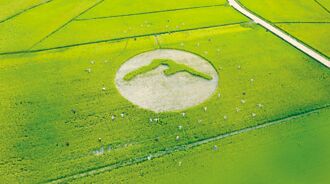 全球首批 玉山金 名列TNFD先行者企业