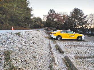 塔塔加成雪白世界 植物裹上冰晶