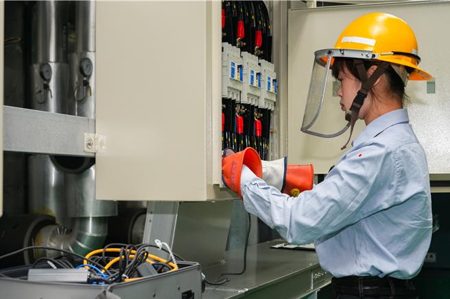 外号「台电学姐」的郭庭均代表高雄区处参加节能诊断竞赛。（台电提供）