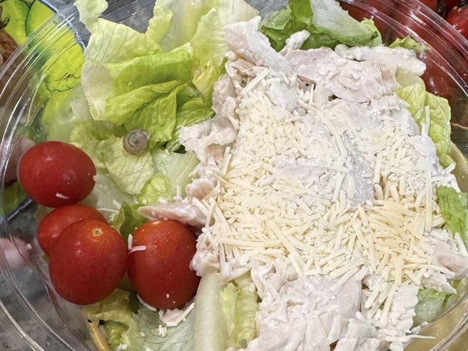 一位人妻在好市多沙拉里发现一只活生生的小蜗牛。（翻摄自爆料公社二社脸书）