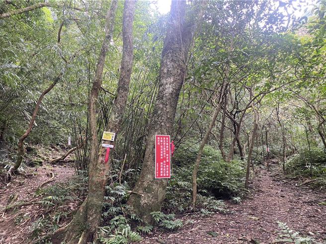 基隆市有许多登山景点，但也常有登山客迷路无法下山，基市消防局为了迅速定位受困民眾位置，去年10月于暖东峡谷一带设置20组救援桩，均有标示号码。（基隆市消防局提供／徐佑升基隆传真）