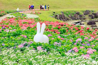 台北河濱賞花「趣」 「走春」好，身材不「走樣」！