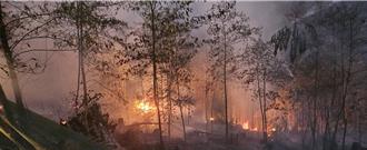 霞喀羅古道入口火燒山！燃燒面積1公頃 消防急灑水救援