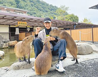 鹿爷爷农场 近距离感受可爱动物