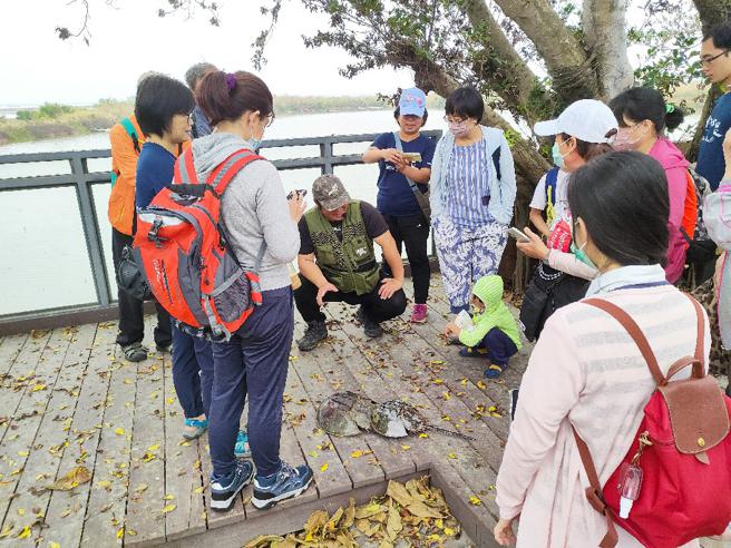 海保署辦理各地海洋生態導覽（圖片來源：海洋保育署提供）
