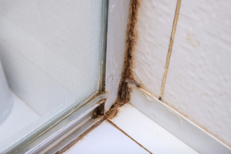 浴室矽利康發霉 過來人推1物清潔最強：免刷就變白