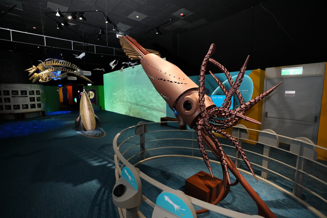 国立自然科学博物馆奇幻自然常设区-动一动：生物力学。(照片/教育局提供)