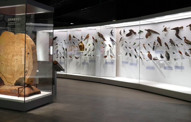 国立自然科学博物馆奇幻自然常设区-哇自然！嗨科学。(照片/教育局提供)