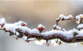 陸2024年首場寒潮來襲 明起南方多地或開啟「暴雪模式」