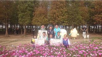 台南六甲落羽松红了！过年旅游顺道欣赏全台最大向日葵花田