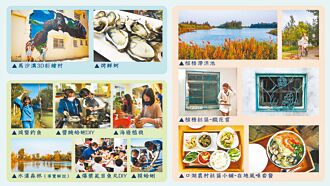 雲嘉南漁鹽產地 邂逅馬沙溝