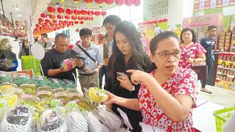 台东 凤梨释迦星国上架 1公斤卖逾400元