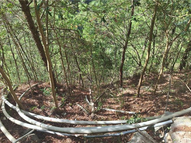 谷关当地警消目前在潘疑摔落地点附近，架设绳索垂降找寻潘的行踪，警消也请空拍机前往协助搜寻中。（和平警分局提供／张妍溱台中传真）