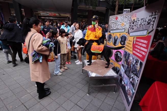 台北市消防局於信義區香堤大道舉辦119防災宣導活動。（圖／消防局提供）