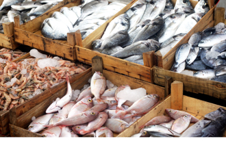 冬季最強食補9食材 護心吃3款魚 1物鈣含量大勝牛奶