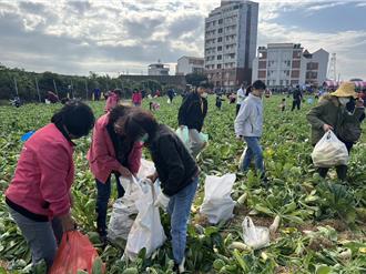 雲林斗六拔蘿蔔公益募集4萬元 全數捐給小天使發展協會