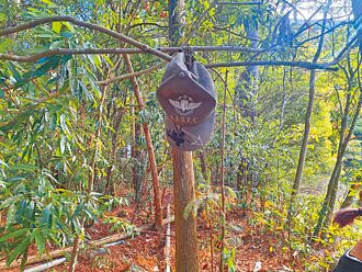 特戰兵休假打獵 墜谷喪命