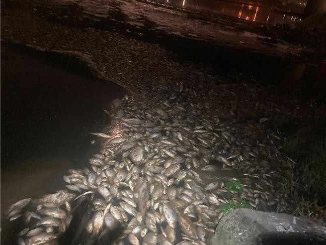 台湾科慕公司桃园观音厂爆污染事件，盐酸管线破裂，造成观音大堀溪上万只鱼死亡。（吴进昌提供／蔡明亘桃园传真）