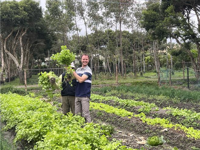 英国主厨Jamie Raftery于秧悦美地农场现採有机芹菜、姜黄，成为新鲜的「悦性饮料」。（ 君达集团／秧悦美地酒店提供）