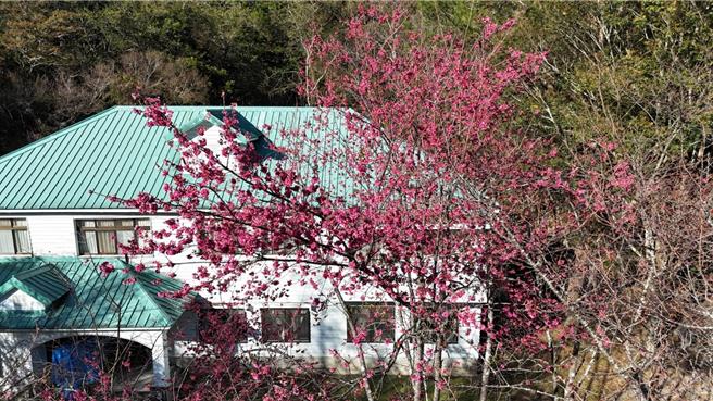 奥万大去年8月因卡努风灾受创，歷时5个多月重建，2月1日开园，採总量管制入园，门票半票100元优惠。（林保署南投分署提供／杨静茹南投传真）