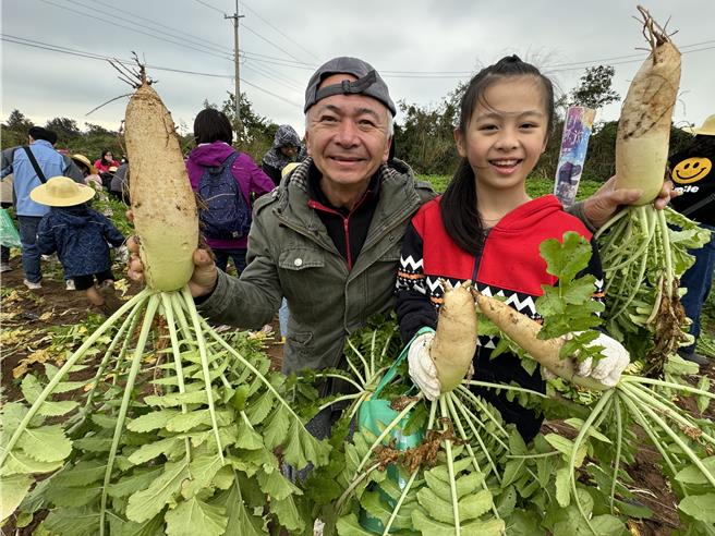 2024年1月21日新北市／現場超過200位來自各國小的學童與家長一起下田拔蘿蔔，並邀請家長為每位參與的學童樂捐100元予晨光基金會做公益。（于家麒攝）