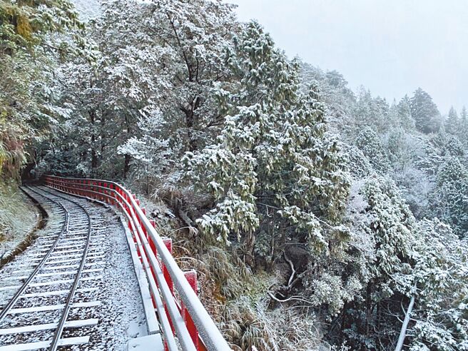 依據中央氣象署預報，22日午後受冷氣團影響，太平山海拔1000公尺以上據點有可能會降雪，將實施預警性機動管制措施。圖為之前蹦蹦車鐵道沿線雪景畫面。（林業署宜蘭分署提供／李忠一宜蘭傳真）