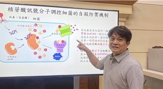 對抗「超級細菌」有新解方 中興大學研發新型抗生素