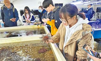 寒假來去貢寮 看九孔寶寶