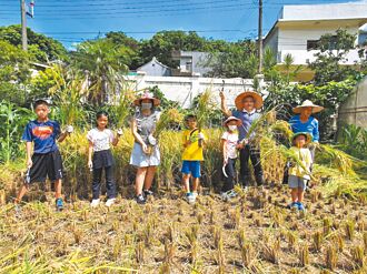 竹縣 太平國小食農教育 奪食米學園績優