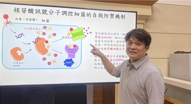 中兴大学副教授陈晔22日表示，团队研究发现新型「核苷酸讯号分子」－环双嘧啶核苷酸，并提出对抗「超级细菌」新解方，正研发不会产生抗体的新型抗生素药物。（陈淑芬摄）