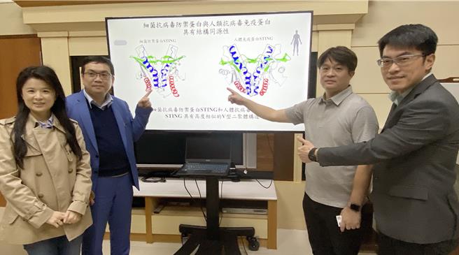中兴大学副教授陈晔22日表示，团队研究发现新型「核苷酸讯号分子」－环双嘧啶核苷酸，并提出对抗「超级细菌」新解方，正研发不会产生抗体的新型抗生素药物。（陈淑芬摄）