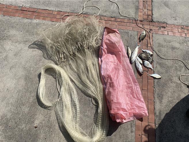 竊賊向警方供稱，台南養殖的虱目魚鮮美可口，因為不想花錢買，所以才起貪念。（讀者提供／張毓翎台南傳真）