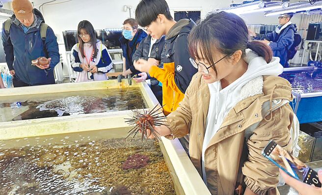 新北市贡寮海洋资源復育园区21日起，民眾有机会透过导览活动与海洋生物近距离互动。（新北市政府渔业及渔港事业管理处提供／刘玮晴新北传真）