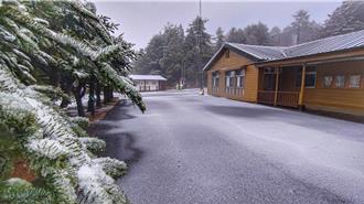 影》寒流發威迎接白色世界 福壽山、大雪山降雪啦！