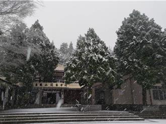 桃園東眼山睽違8年下雪 平地大園區1人路倒死亡