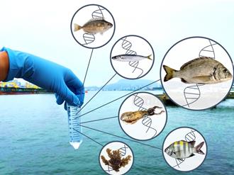 海洋基因檢測新突破 國海院透過eDNA推估生物物種