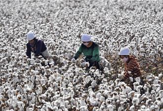 美國國會向政府施壓 促嚴打中國「強迫勞動」產品進口
