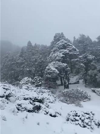 超級寒流入侵 白雪覆蓋雪霸國家公園2千公尺以上高山